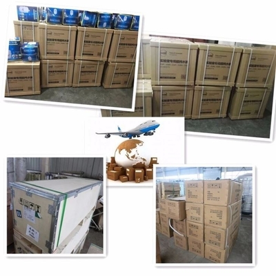 Maschine für das Ultra-Reinigungswassersystem 10L/H 20L/H 40L/H 60L/H